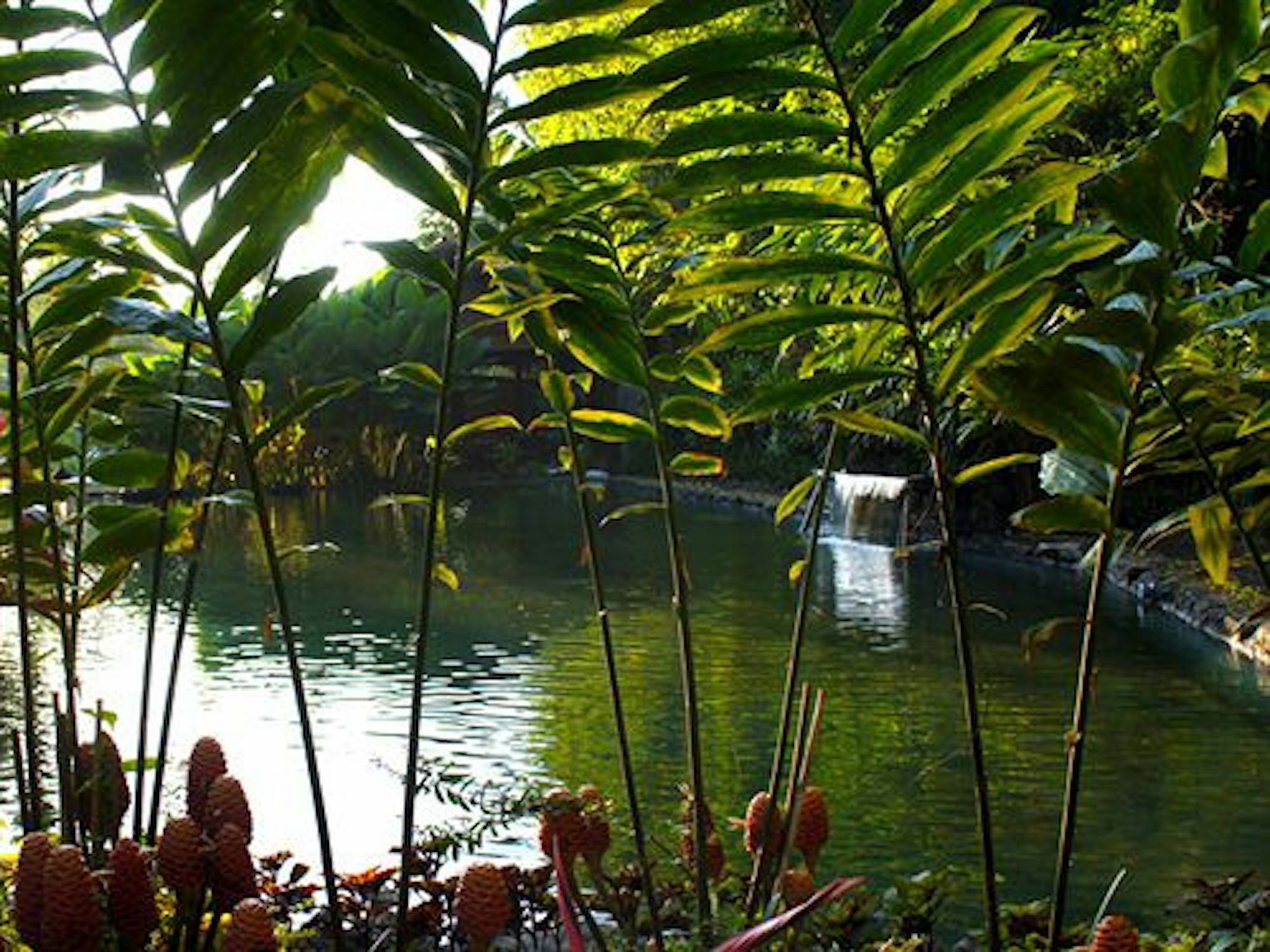 The Aura Shanti Retreat Baturiti Exterior photo